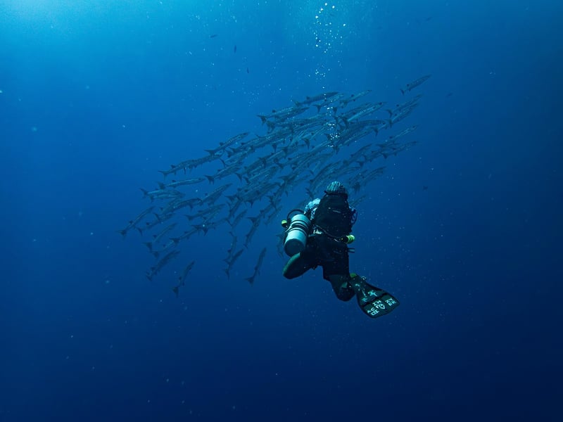 Snorkeling Adventure